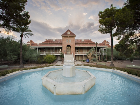 UArizona announces new mobile crisis team, University Safety website ...