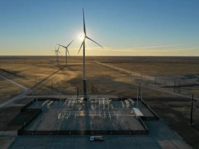 Photo of Windmills