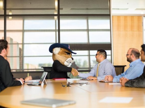 Mascot Wilbur sitting at a table for a job interview