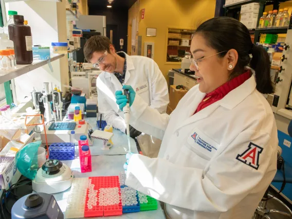 Startups working in UA Center for Innovation lab at UA Tech Park