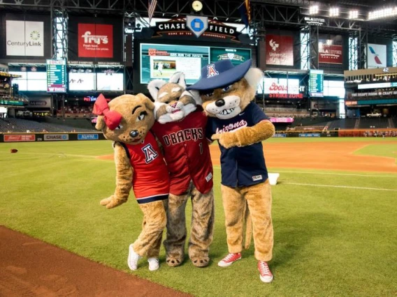 A photograph of Wilbur Wildcat, Wilma Wildcat and D. Baxter the Bobcat 