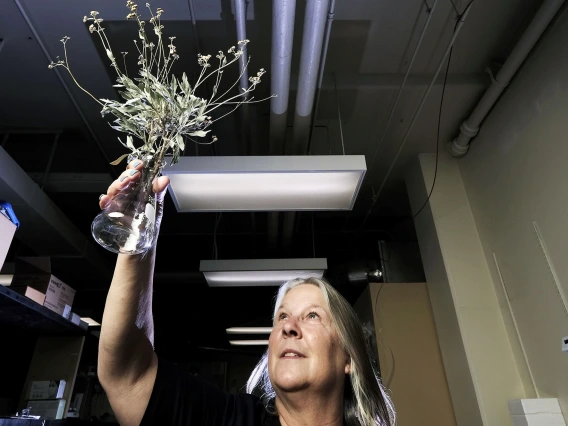 A photograph of Kim Ogden holding a desert shrub 