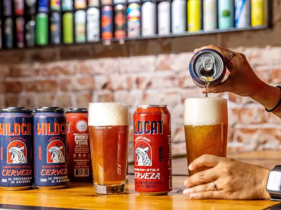 An array of colorful beer cans and pint glasses