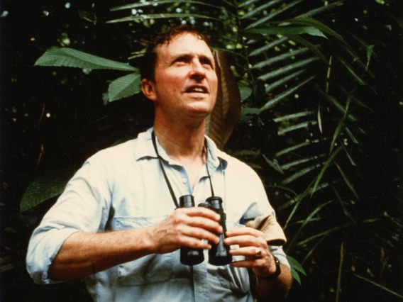 A man with binoculars looking up at the sky surrounded by trees 