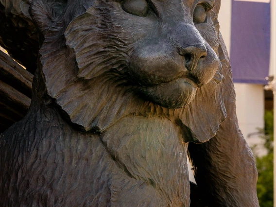 A Wildcat statue by the Student Union Memorial Center