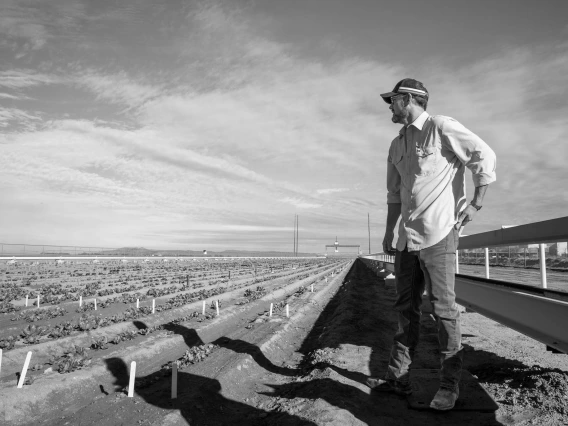 A black and white photo of William Duke Pauli looking into the distance to his fields.