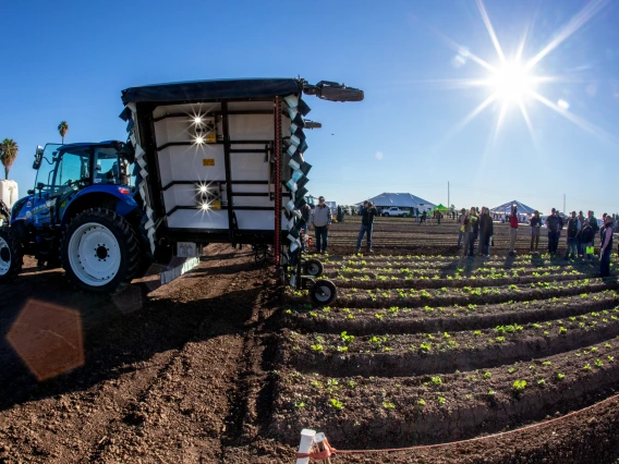 A large blue tractor is parked in a crop field as people observe farm machinery during a sunny outdoor event.