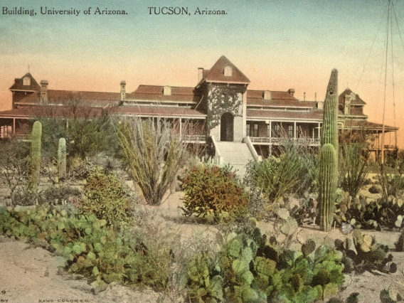 Hand-colored postcard of the University of Arizona's Main Building in Tucson, surrounded by a lush cactus garden with saguaros, prickly pear, and desert shrubs.