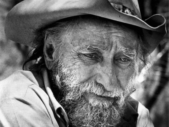 Ted Degrazia