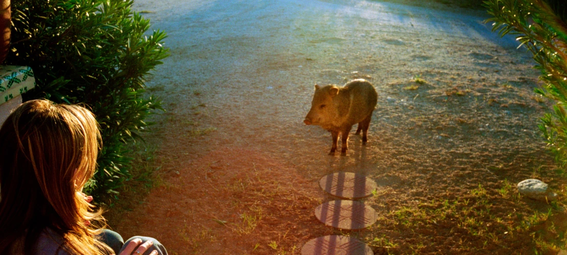 A photograph of Heather and Javelina