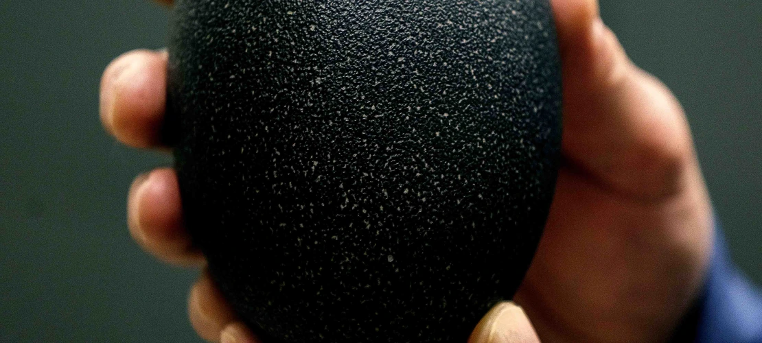 A large fossilized egg