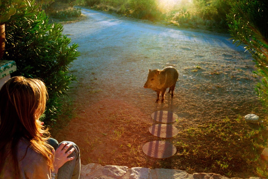 A photograph of Heather and Javelina