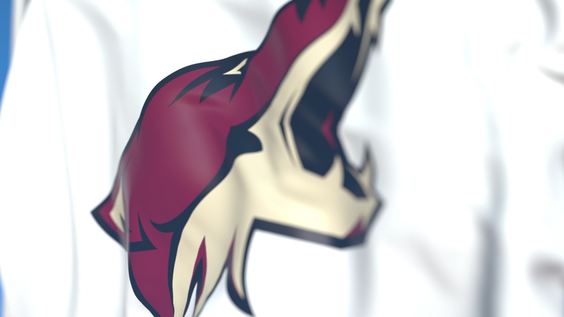 A photograph of the Arizona Coyote Hockey mascot