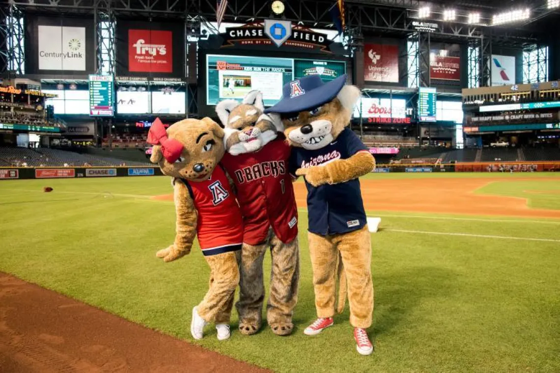 A photograph of Wilbur Wildcat, Wilma Wildcat and D. Baxter the Bobcat 