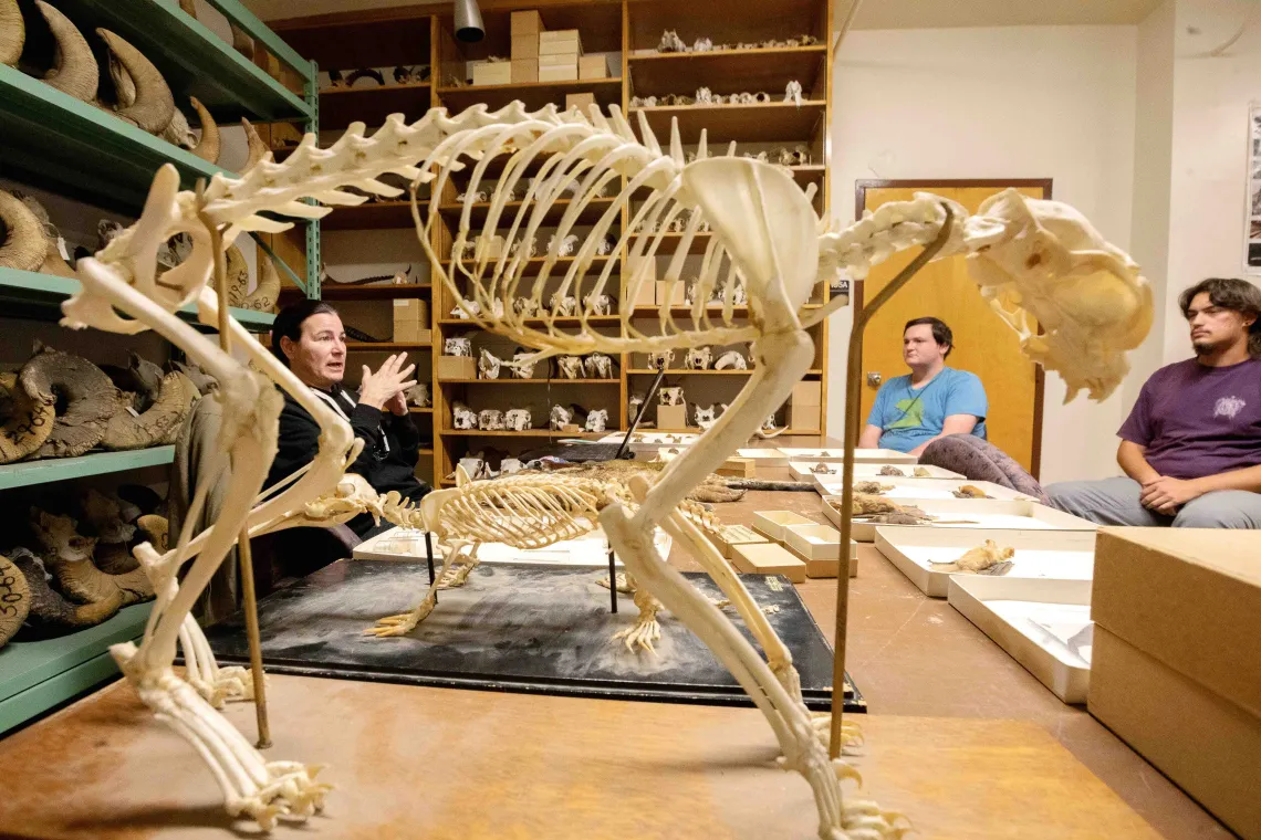 Professor lectures surrounded by a collection of skulls and skeletal specimens.