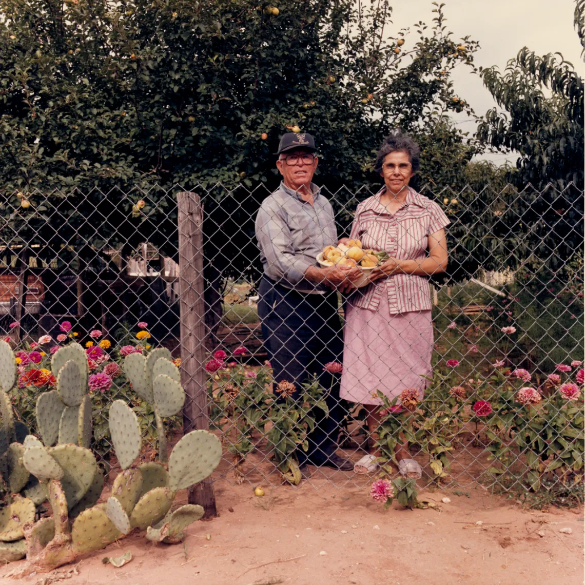 A photo of a man and a woman standing, holding a bowl behind a fence, with cacti and flowers surrounding them. 