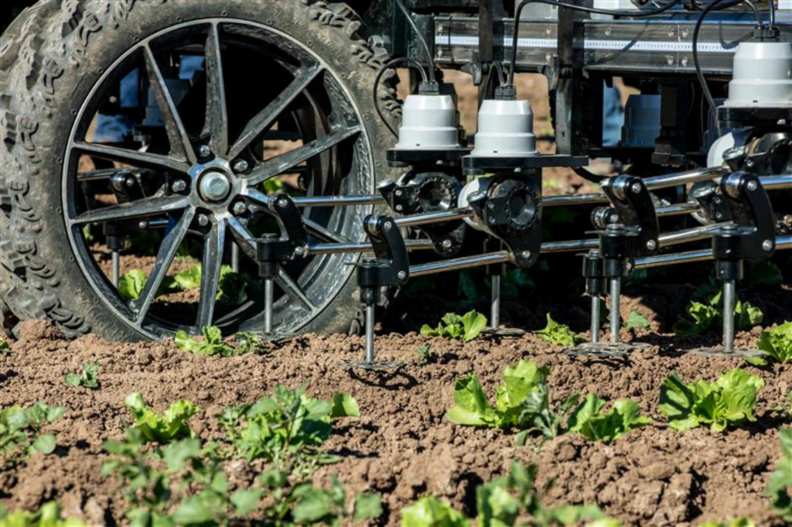 Close-up of agricultural machinery with robotic arms and sensors operating in a lettuce field, focusing on the soil and wheels.