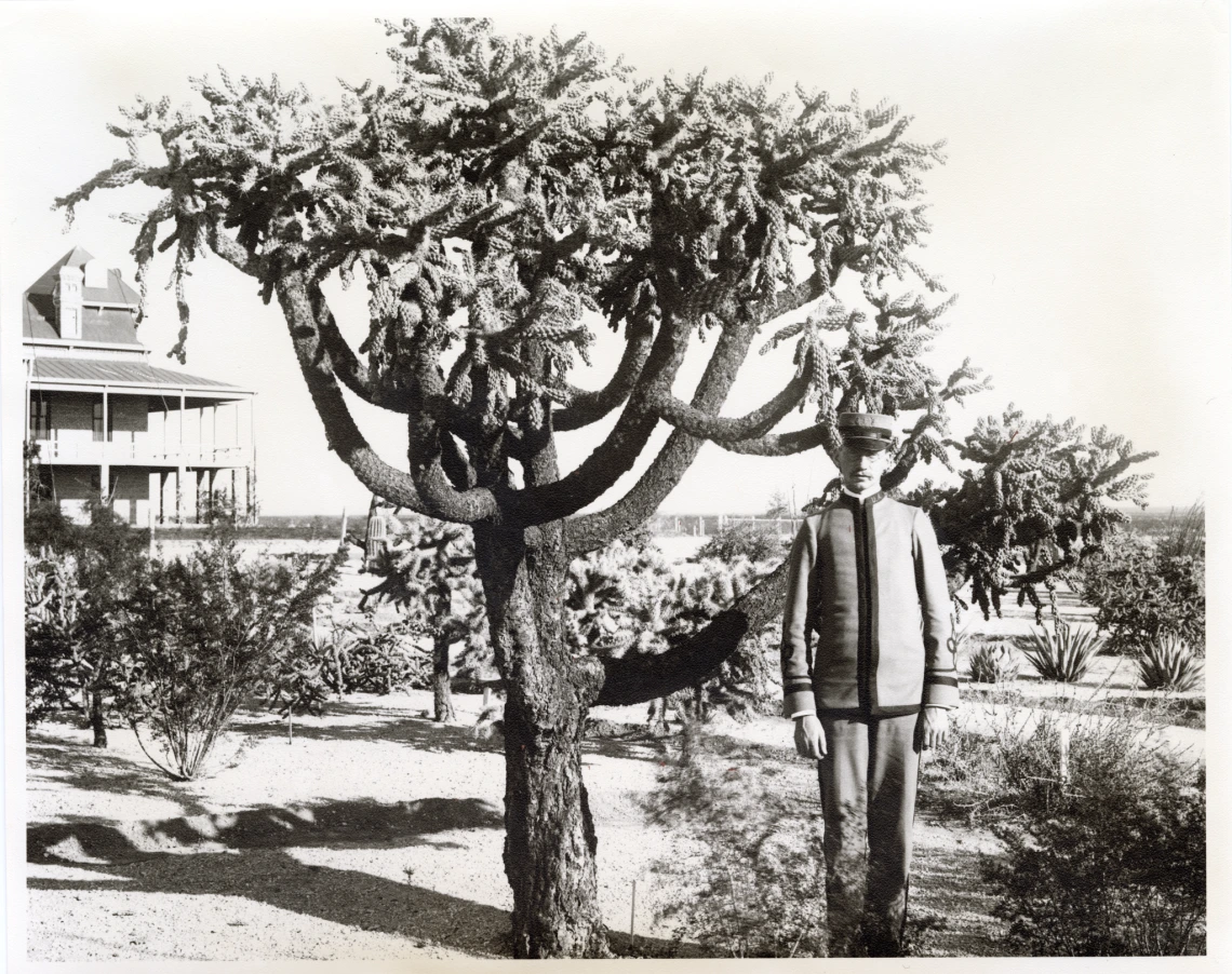 A young man in a military-style uniform stands beside a large, sculptural cactus tree in a desert garden with Old Main in the background.