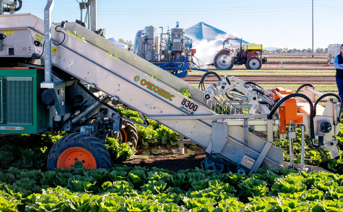 An image of the agriculture tech scene on a Yuma farm - two machines being pulled by tractors are visible and assisting with crop picking.