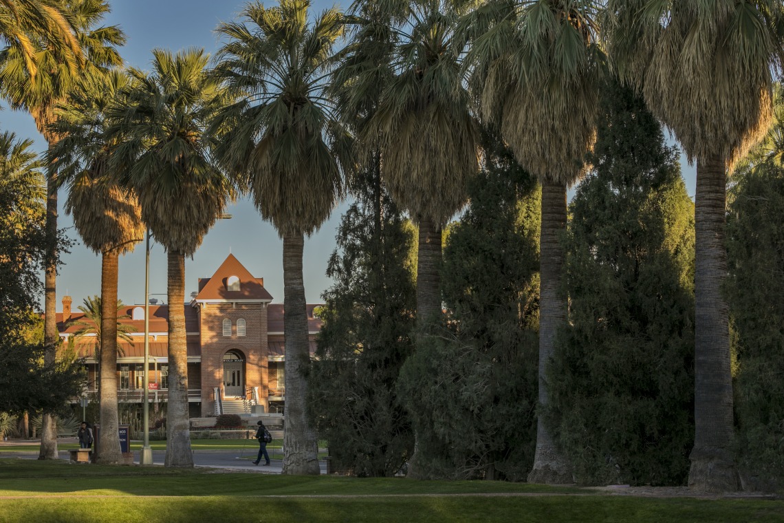 A photograph of Old Main peaking behind the palm trees lined up on campus