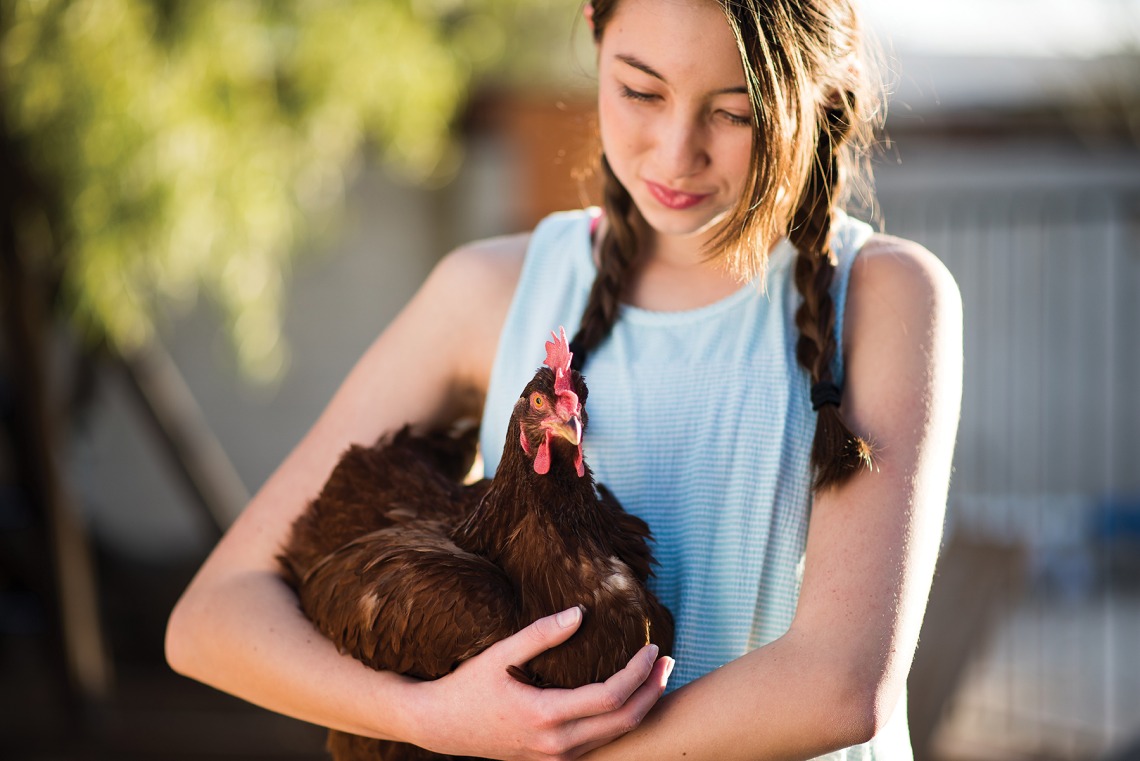 A photograph of a young girl holding a chicken 