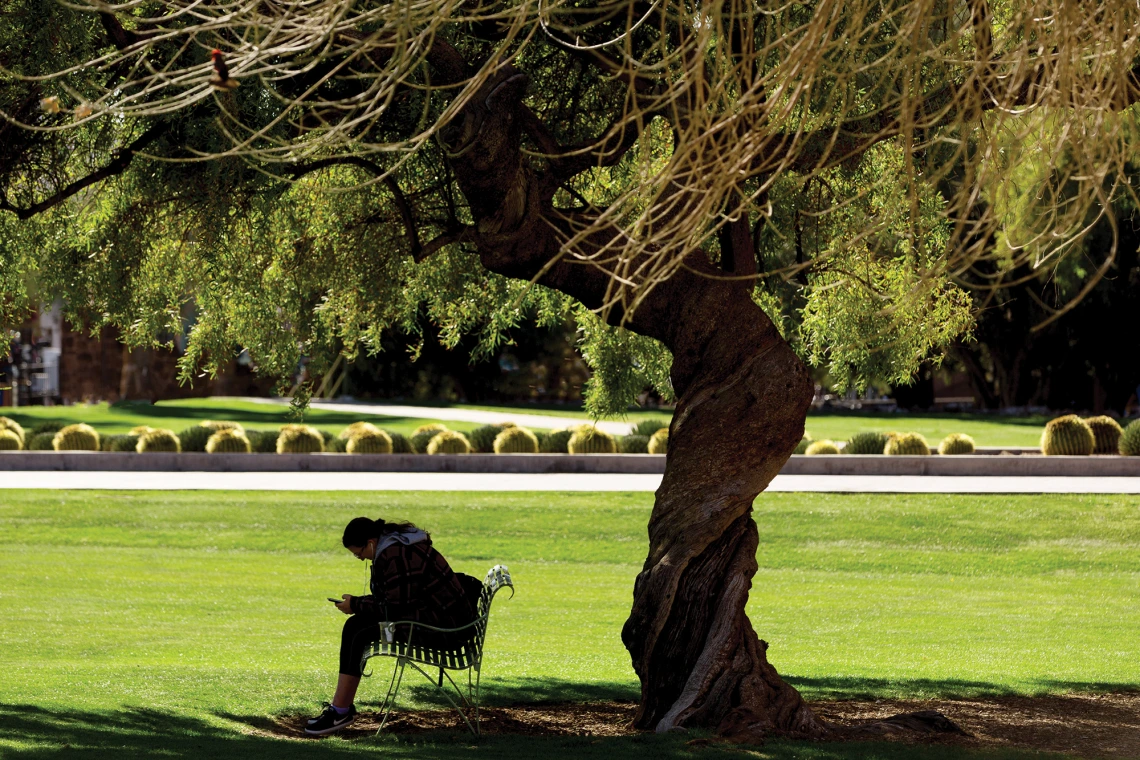 A photograph of a student, alone, sitting on a bench with their earbuds in, looking at their phone.