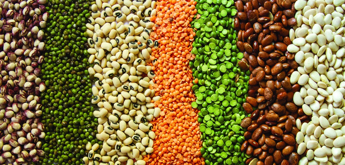 Photograph of various colorful legumes.