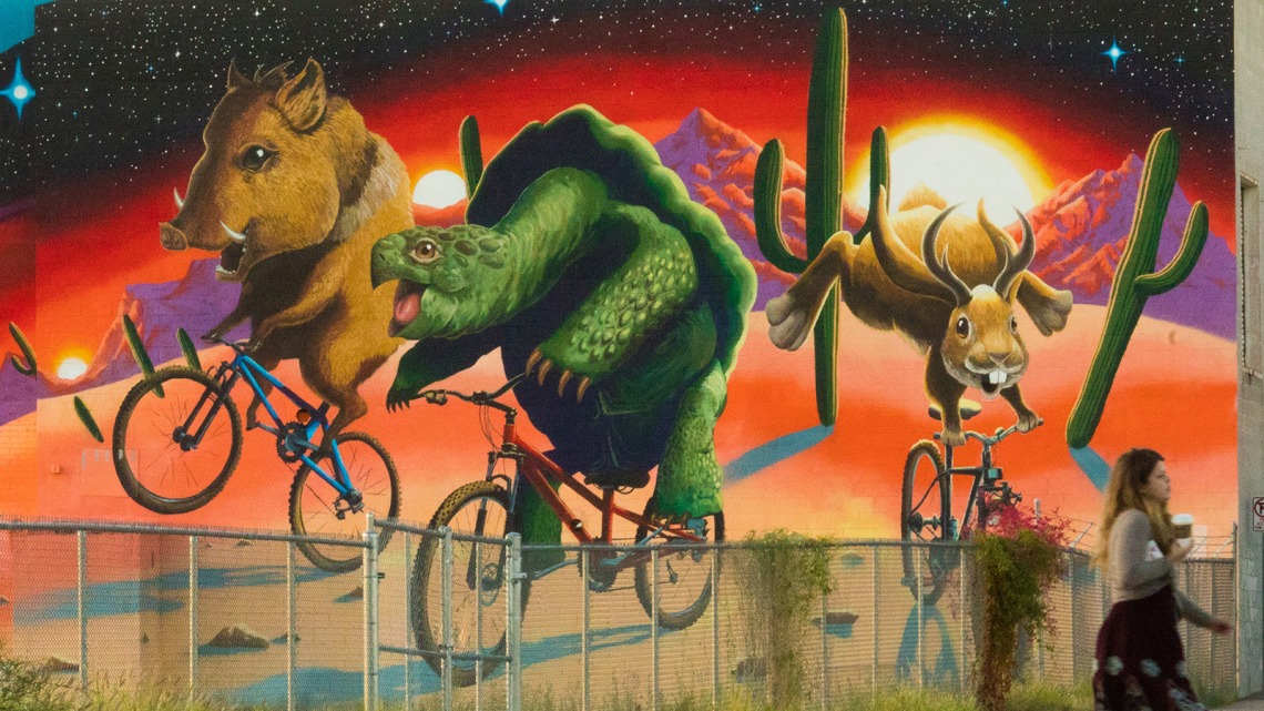 A photograph of Pagac's mural of a javelina, tortoise and rabbit riding bicycles. 