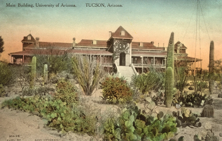 Hand-colored postcard of the University of Arizona's Main Building in Tucson, surrounded by a lush cactus garden with saguaros, prickly pear, and desert shrubs.