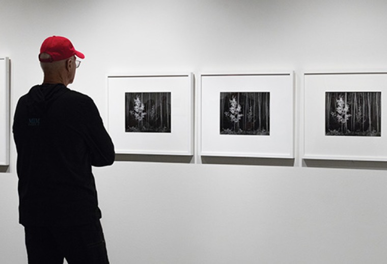 A photograph of a man wearing a red cap looking at a sequence of three photos