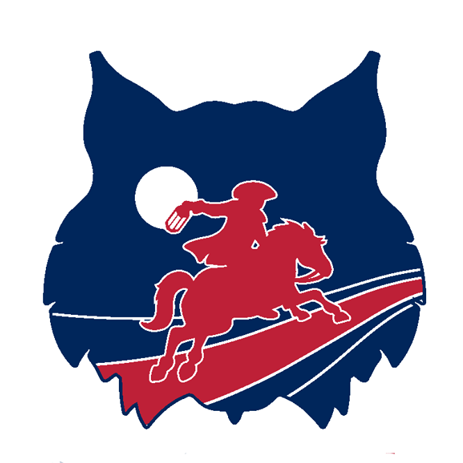 Boston BeantownCats Logo