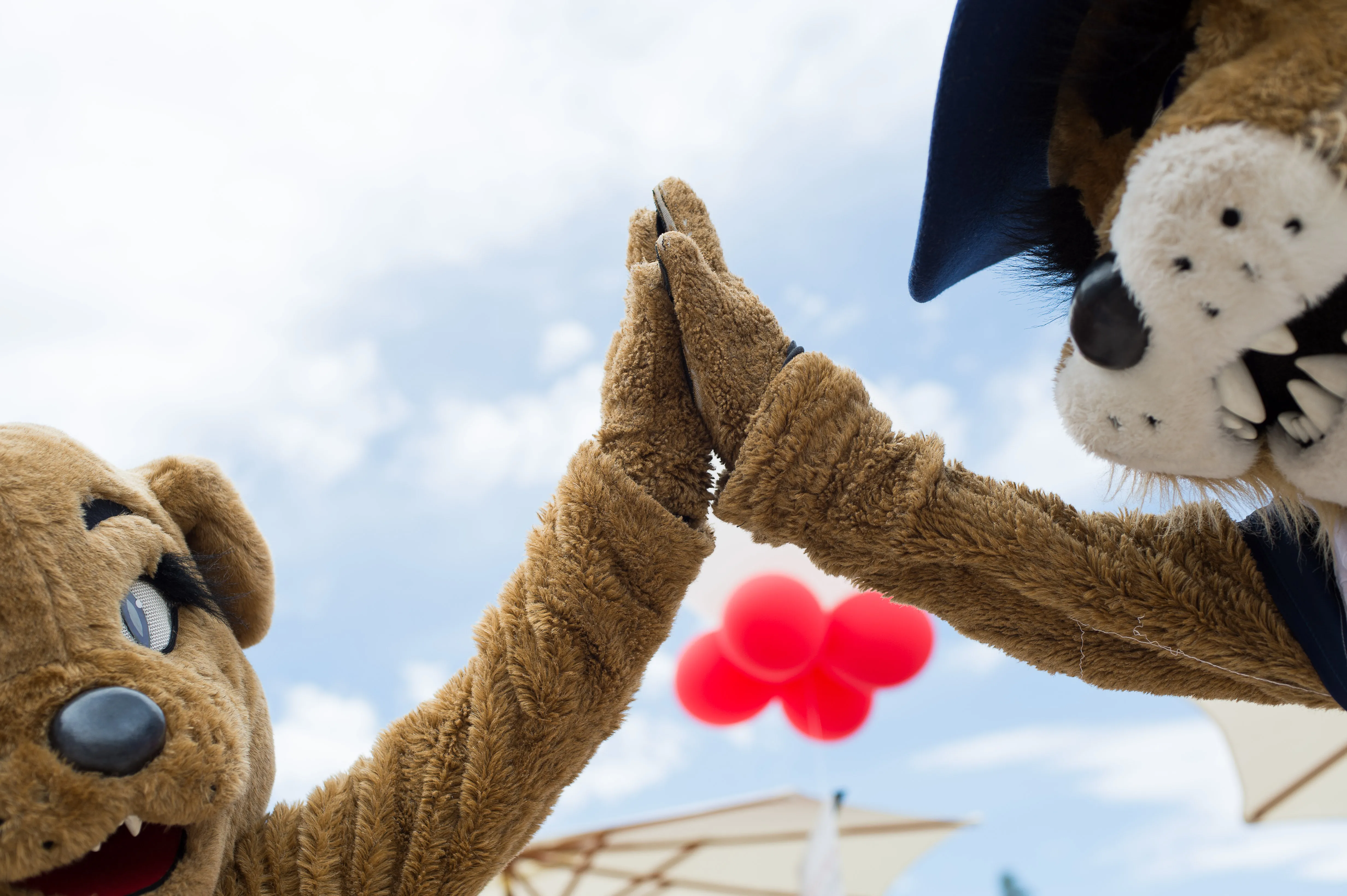 Wilbur and Wilma high-fiving 