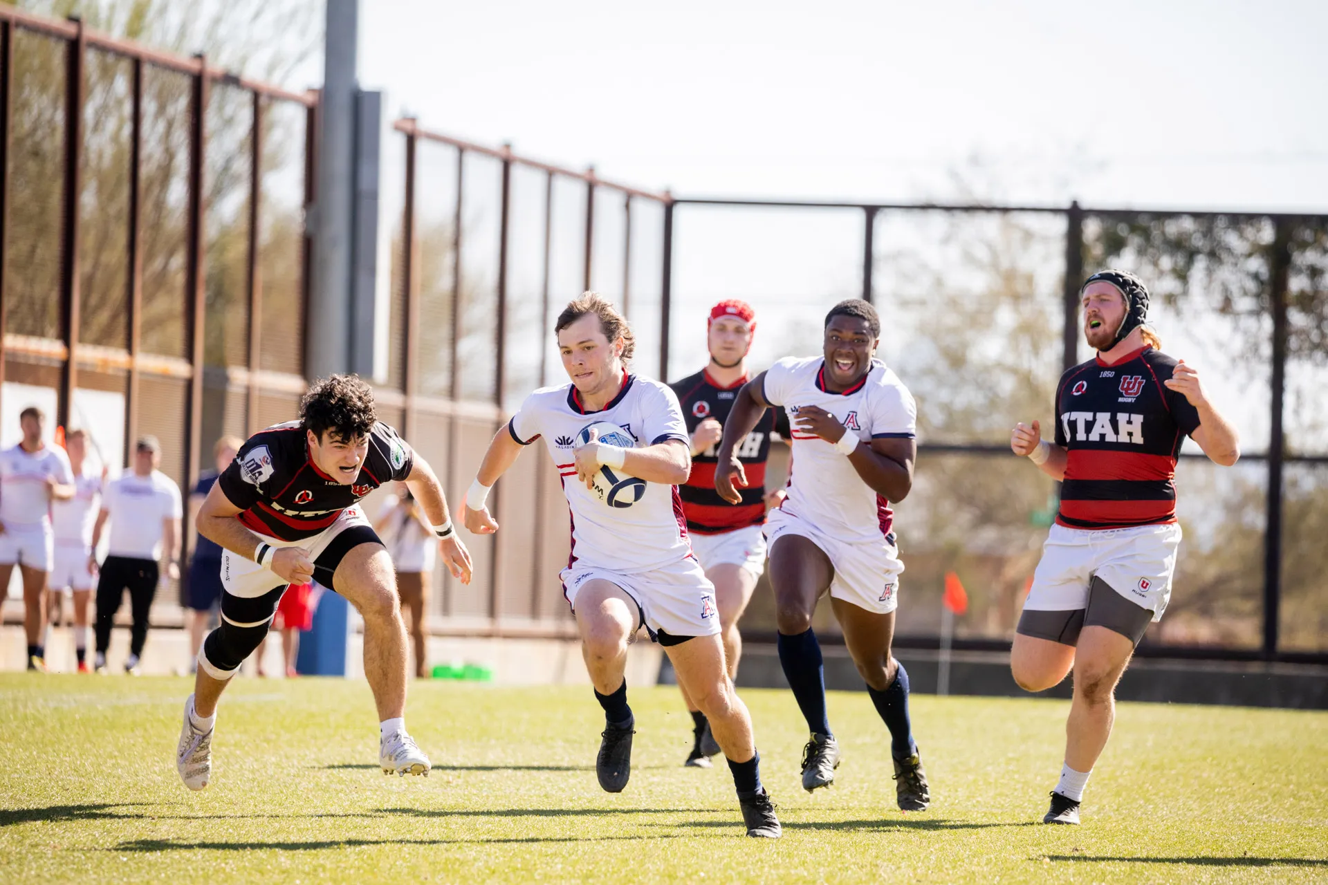 A photograph of the UArizona and Utah rugby team playing on the field