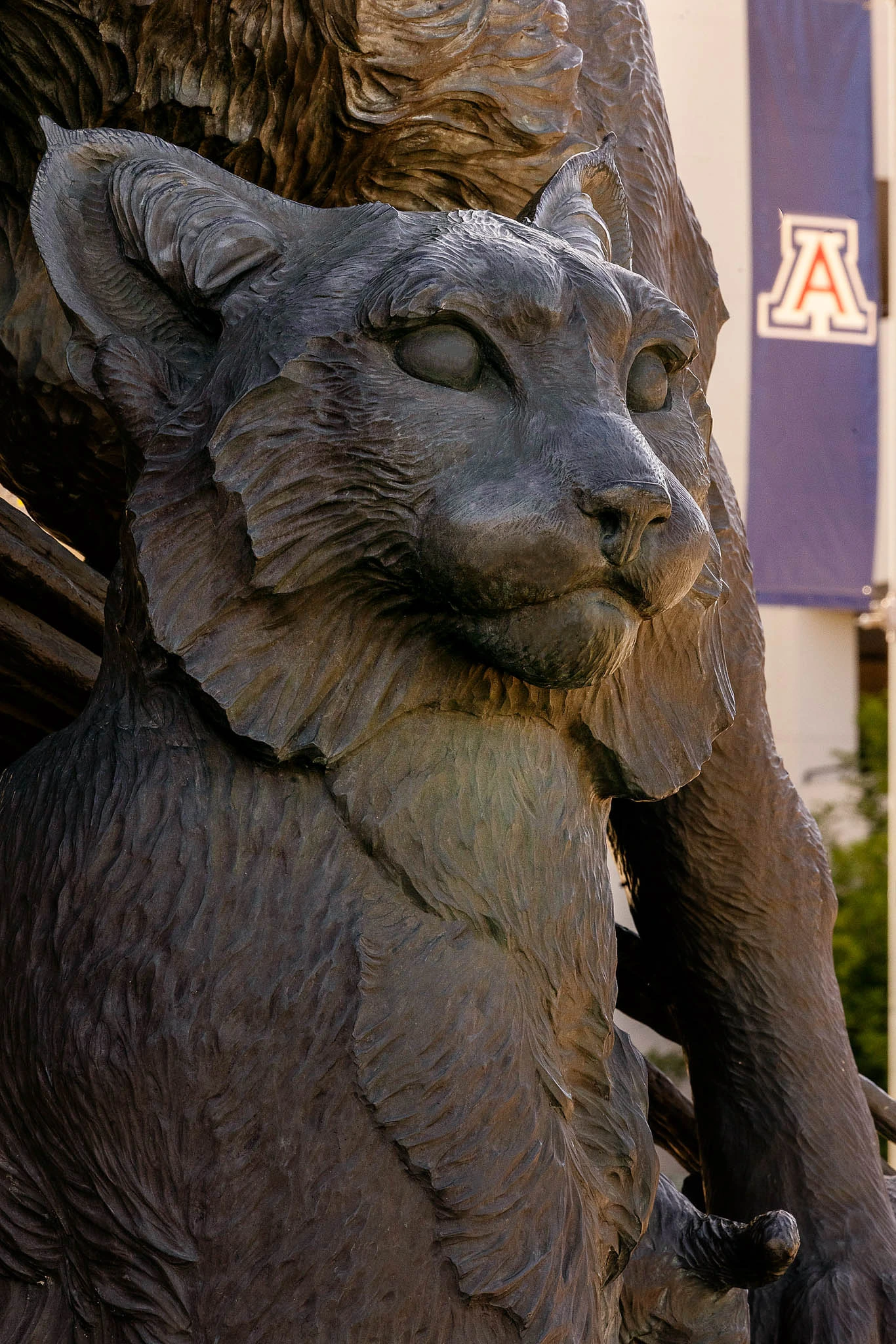 A Wildcat statue by the Student Union Memorial Center