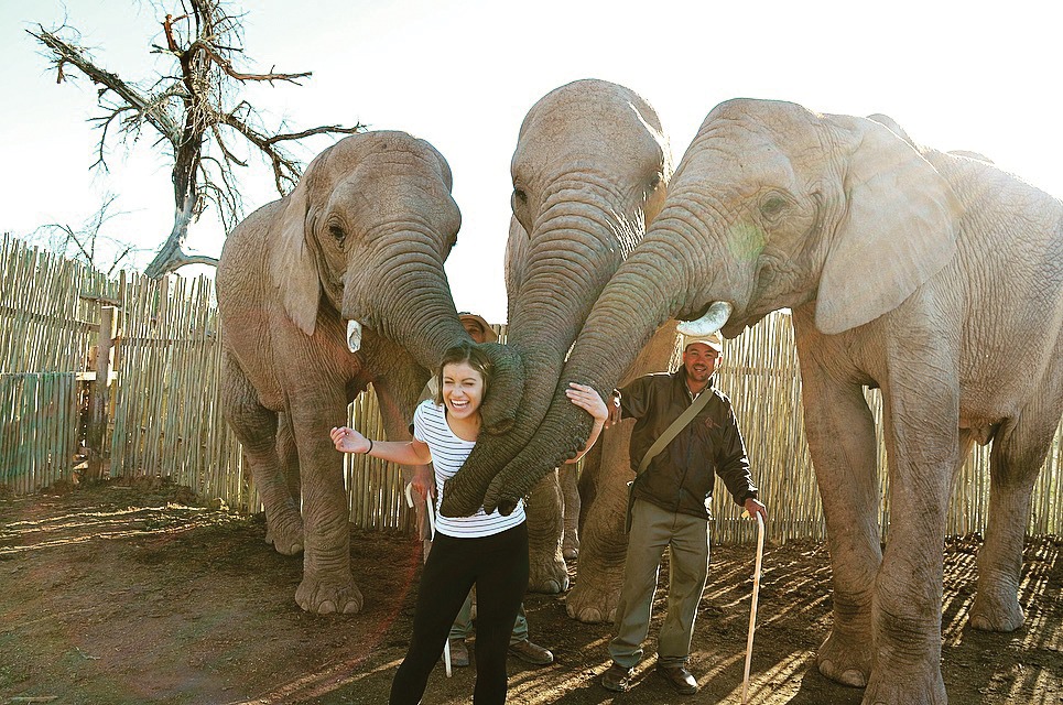 A photograph of Rose Harris-Makinen laughing and hugged by three elephants