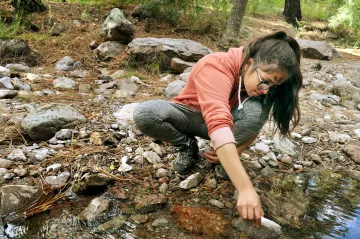 Girl sitting by creek