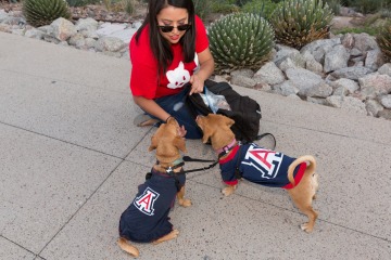 A photograph of an owner and her two dogs wearing University of Arizona merchandise 