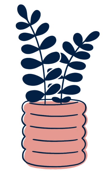 An illustration of a plant 