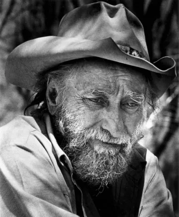 Ted Degrazia