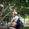 A cyclist wearing a white helmet and blue jersey rides a bike on a tree-lined path next to a building with large windows.